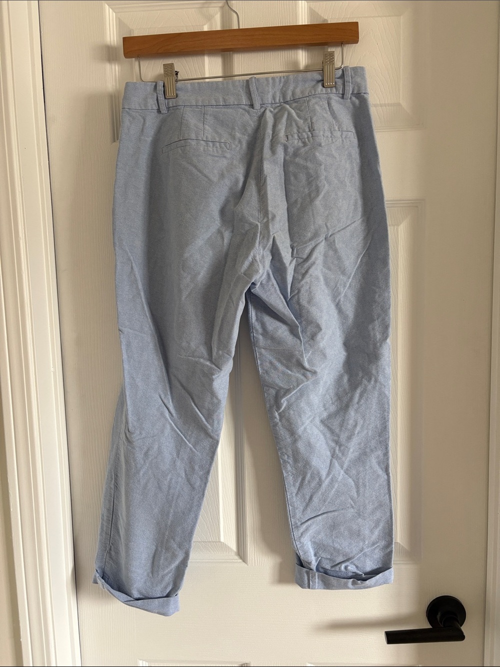 J. Crew Pale Blue Cropped Pants - Picture 4 of 4